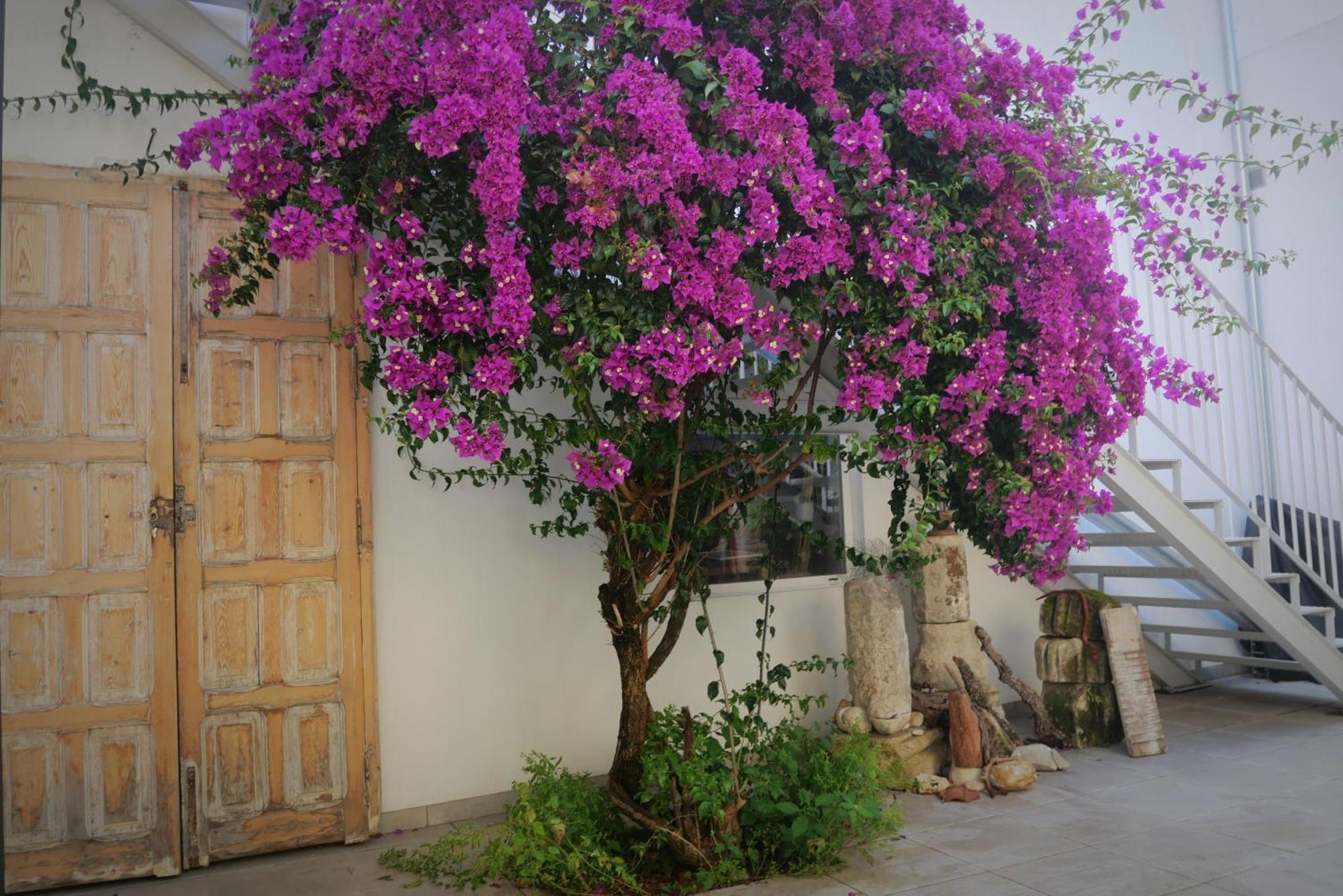 Casa De La Fra Lägenhet Jerez de la Frontera Exteriör bild